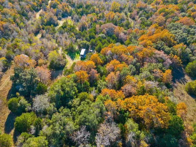a view of a bunch of flowers
