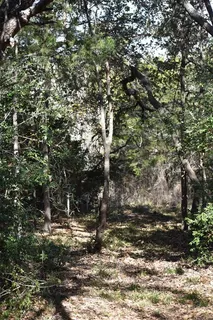 $700,000 | 272 Deadwood Road, Cedar Creek, TX 78612