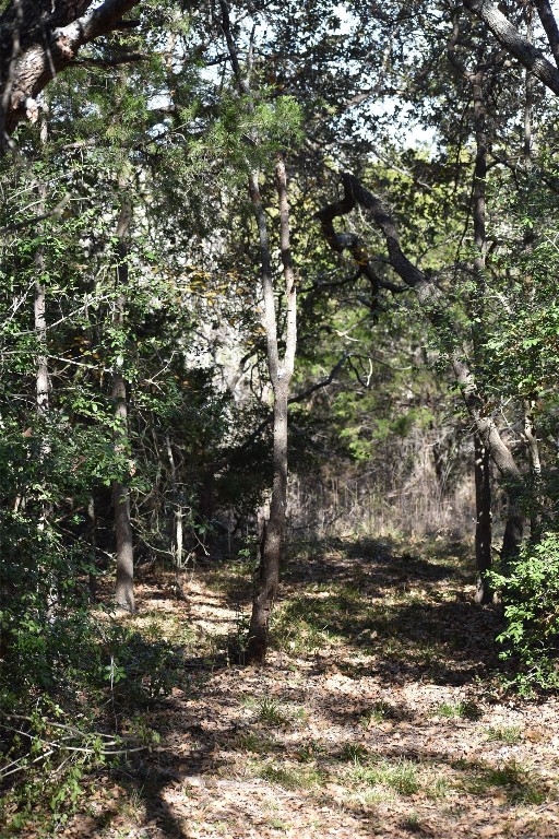 272 Deadwood Road Cedar Creek, TX 78612 - Photo 9 of 34