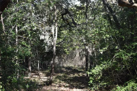 $700,000 | 272 Deadwood Road, Cedar Creek, TX 78612