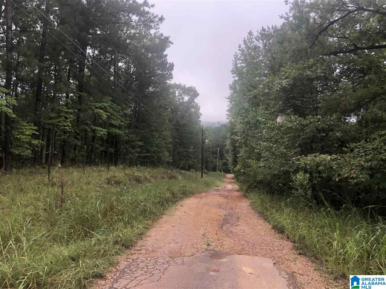 8115 Jones Road Southwest, Unit 10 ACRES Bessemer, AL 35022 - Photo 2 of 9 Gallery Image 2