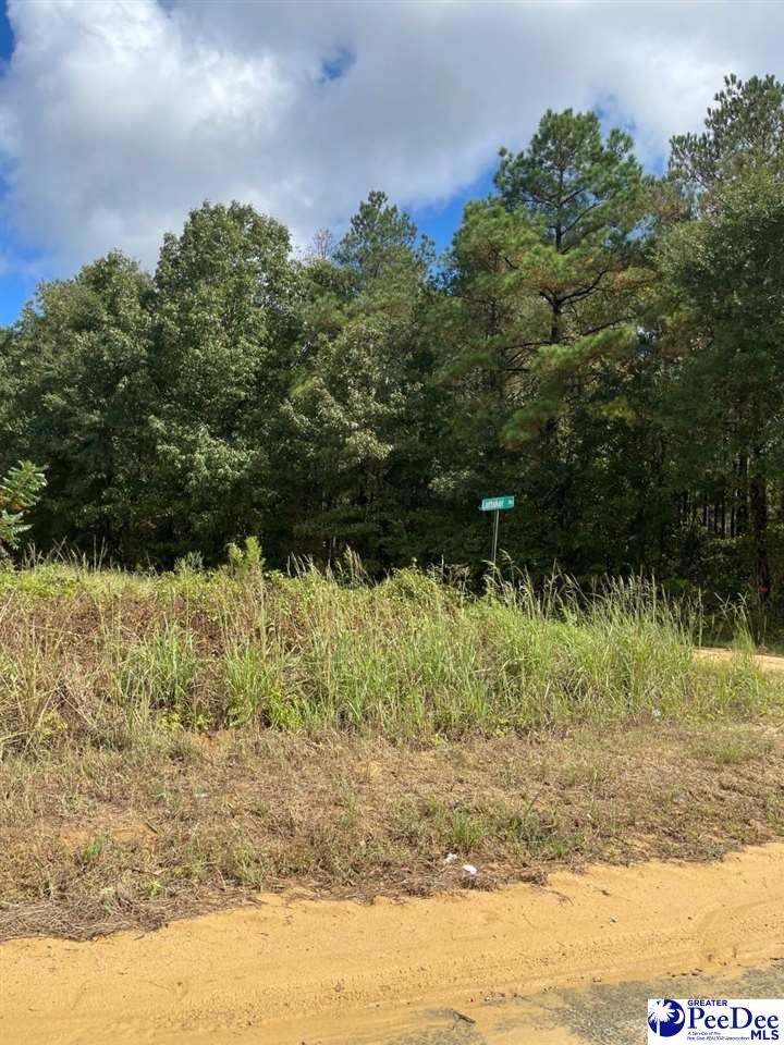 2139 Brickyard Road Bennettsville, SC 29512 - Photo 1 of 1 Gallery Image 1