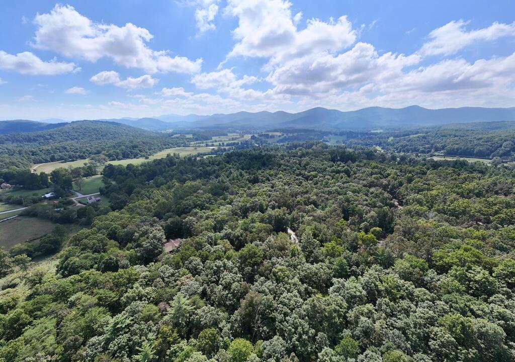 200 Renegade Ridge Road Blairsville, GA 30512 - Photo 54 of 56 Gallery Image 54