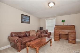 1080 Hillsboro Road High Ridge, MO 63049 - Photo 25 of 44