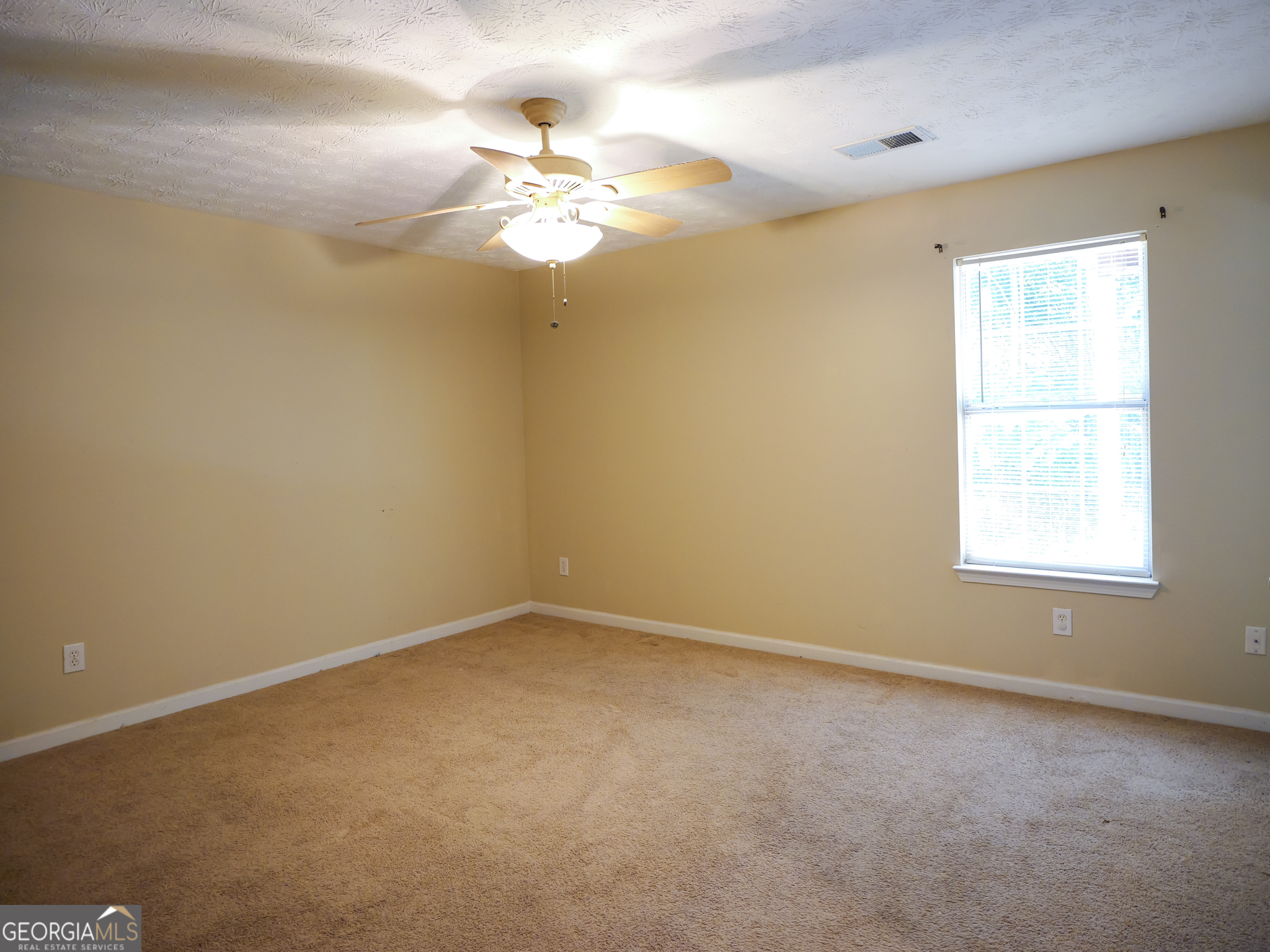 11036 Pebble Ridge Drive Hampton, GA 30228 - Photo 29 of 35 an empty room with a chandelier fan and windows