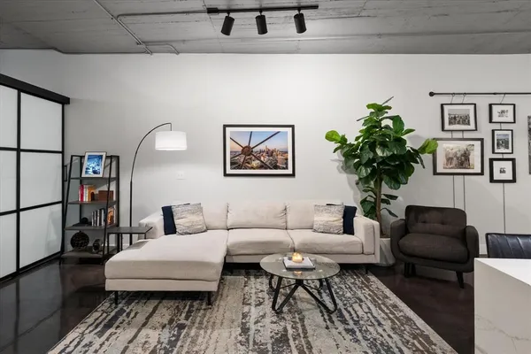 a living room with furniture and a potted plant