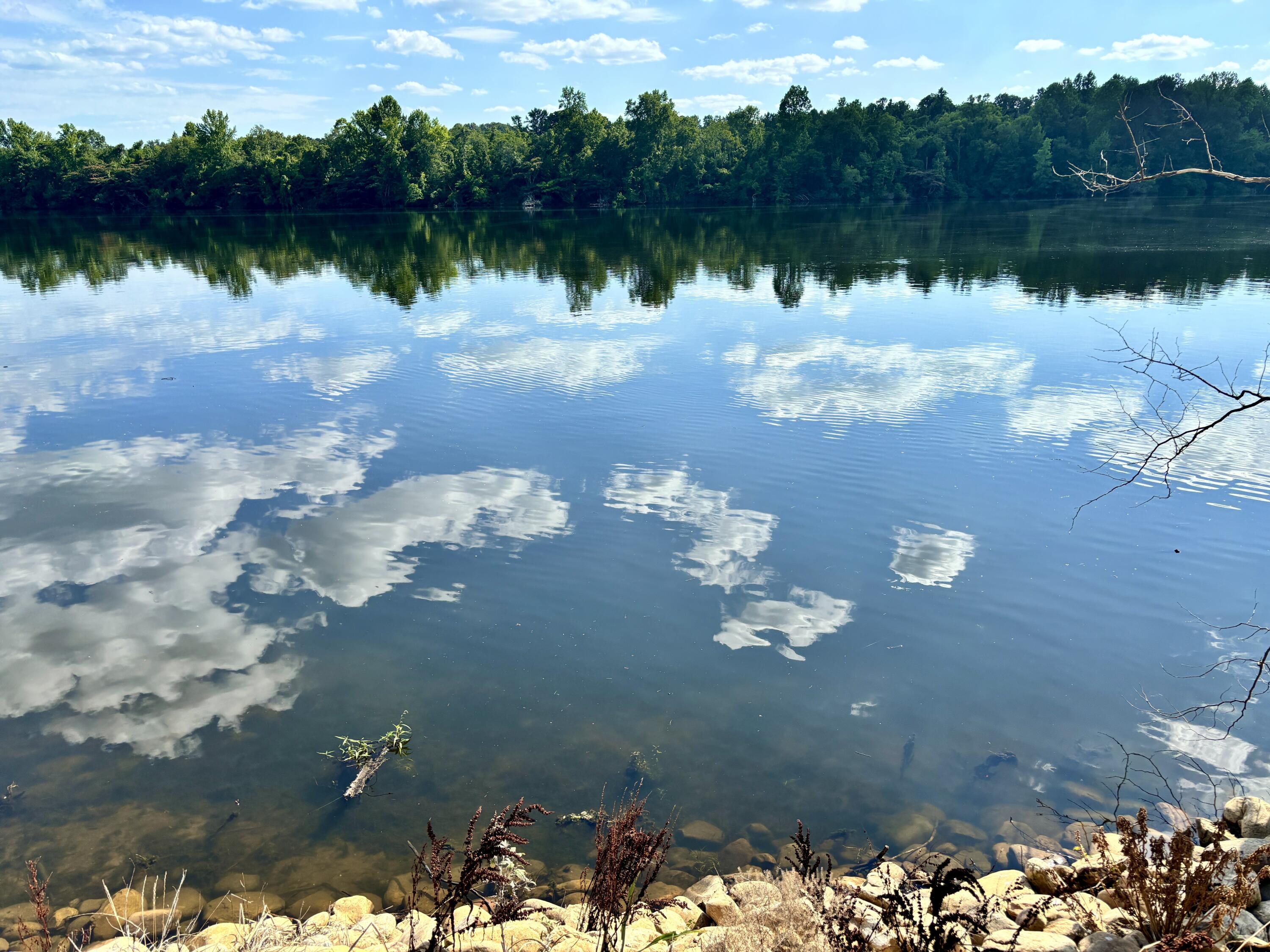 1058 Espalier Drive, Unit LOT 52 Decatur, TN 37322 - Photo 8 of 20 WATERFRONT