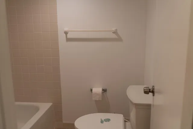 a bathroom with a toilet and bathtub