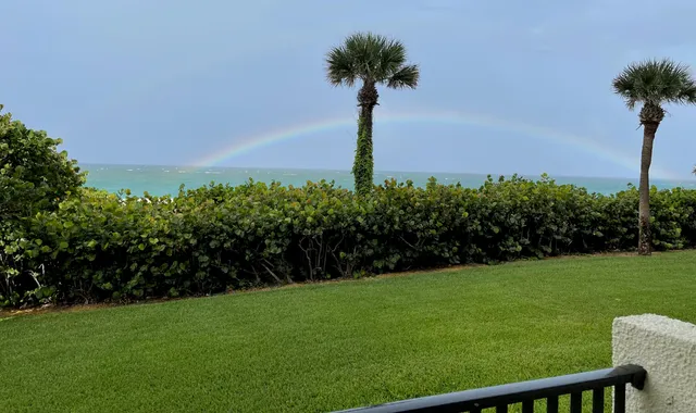 a view of a garden with a building in the background