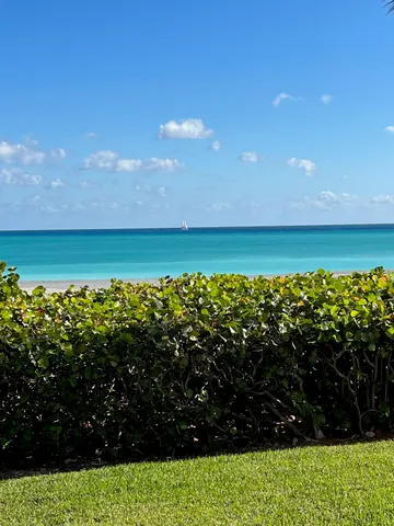 a view of a lot of flowers and trees