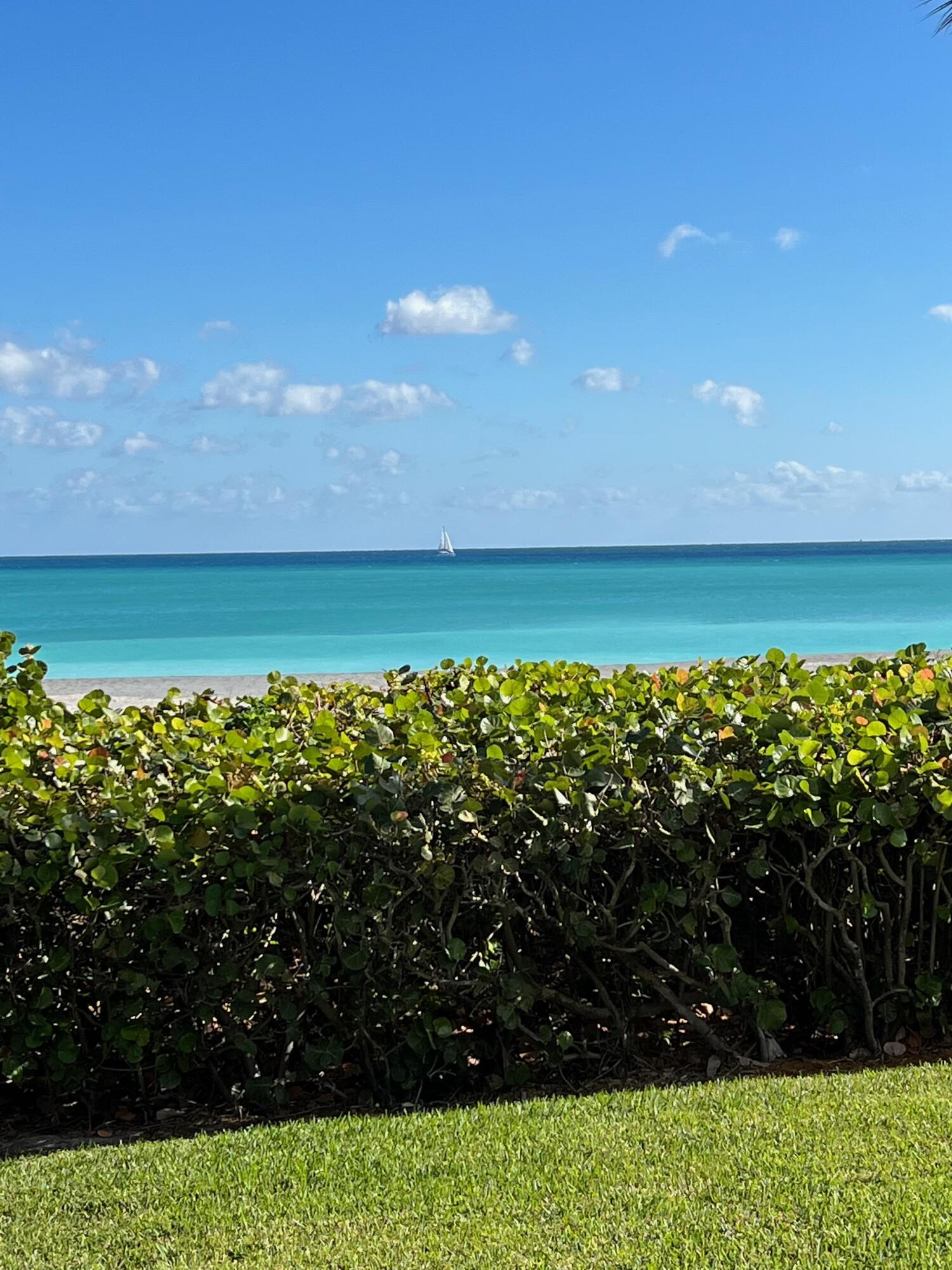 400 Ocean Trail Way, Unit 101 Jupiter, FL 33477 - Photo 21 of 21 a view of a lot of flowers and trees