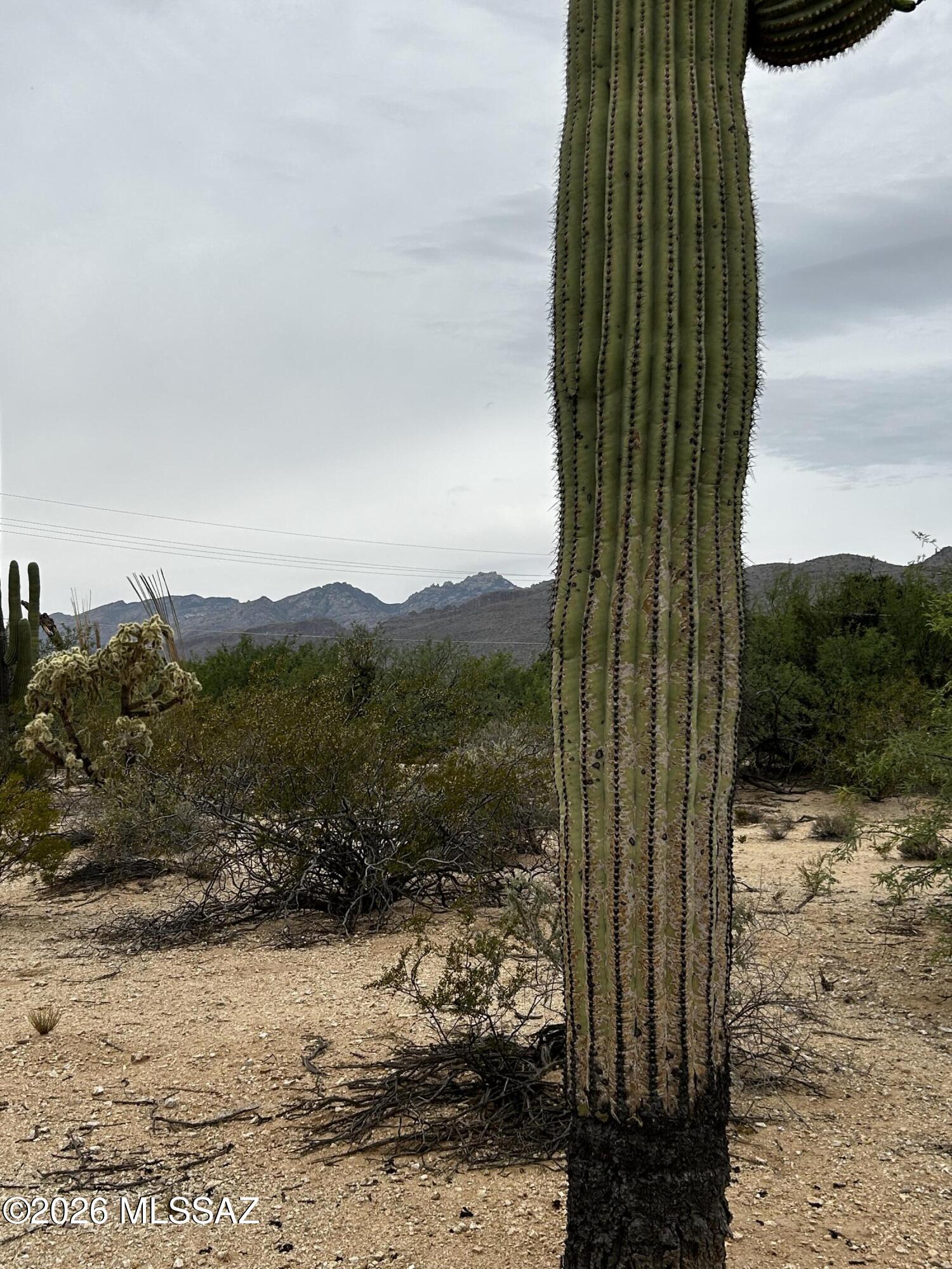 East Roger Road, Unit 46 Tucson, AZ 85749 - Photo 21 of 38