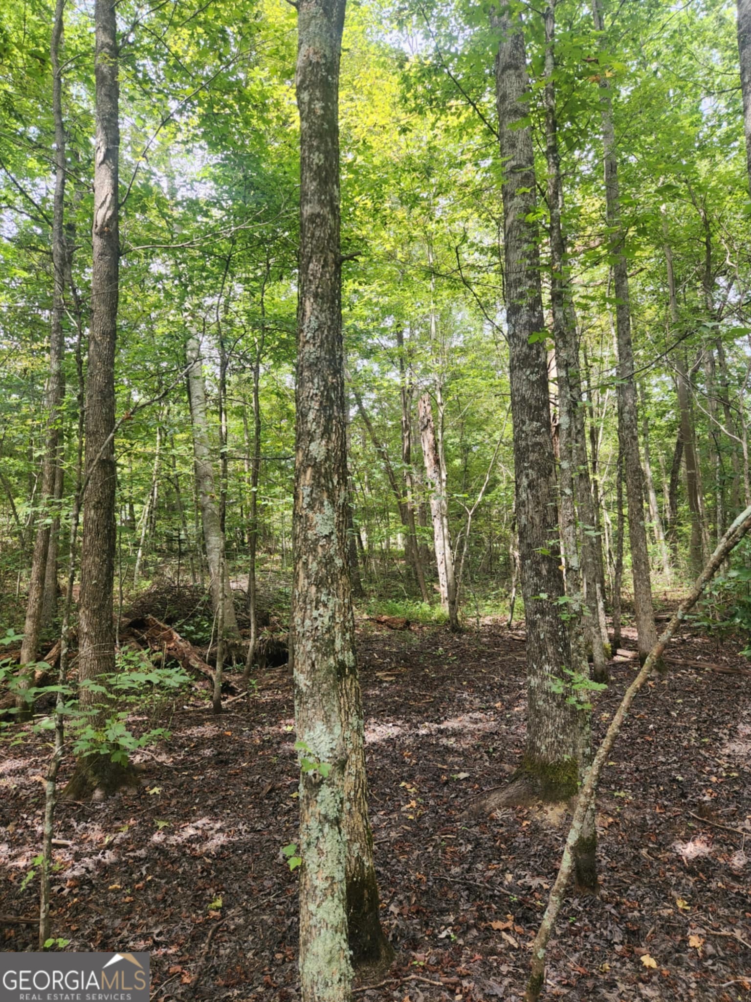 0 Hampton Way Rising Fawn, GA 30738 - Photo 12 of 13