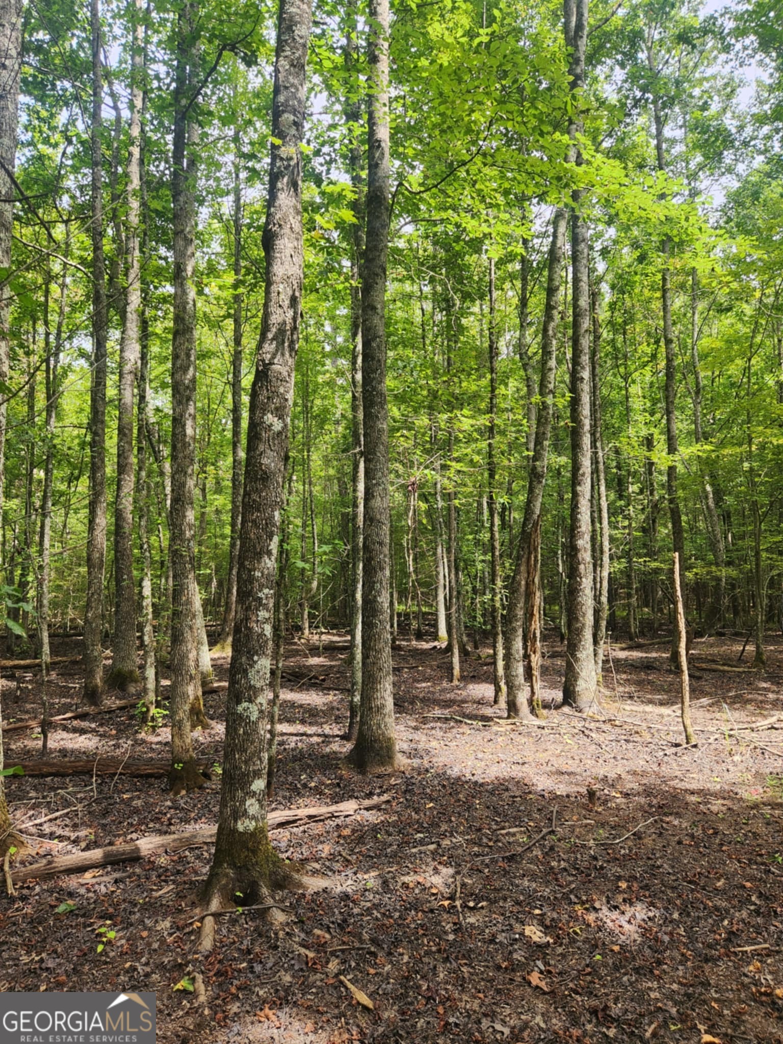 0 Hampton Way Rising Fawn, GA 30738 - Photo 13 of 13