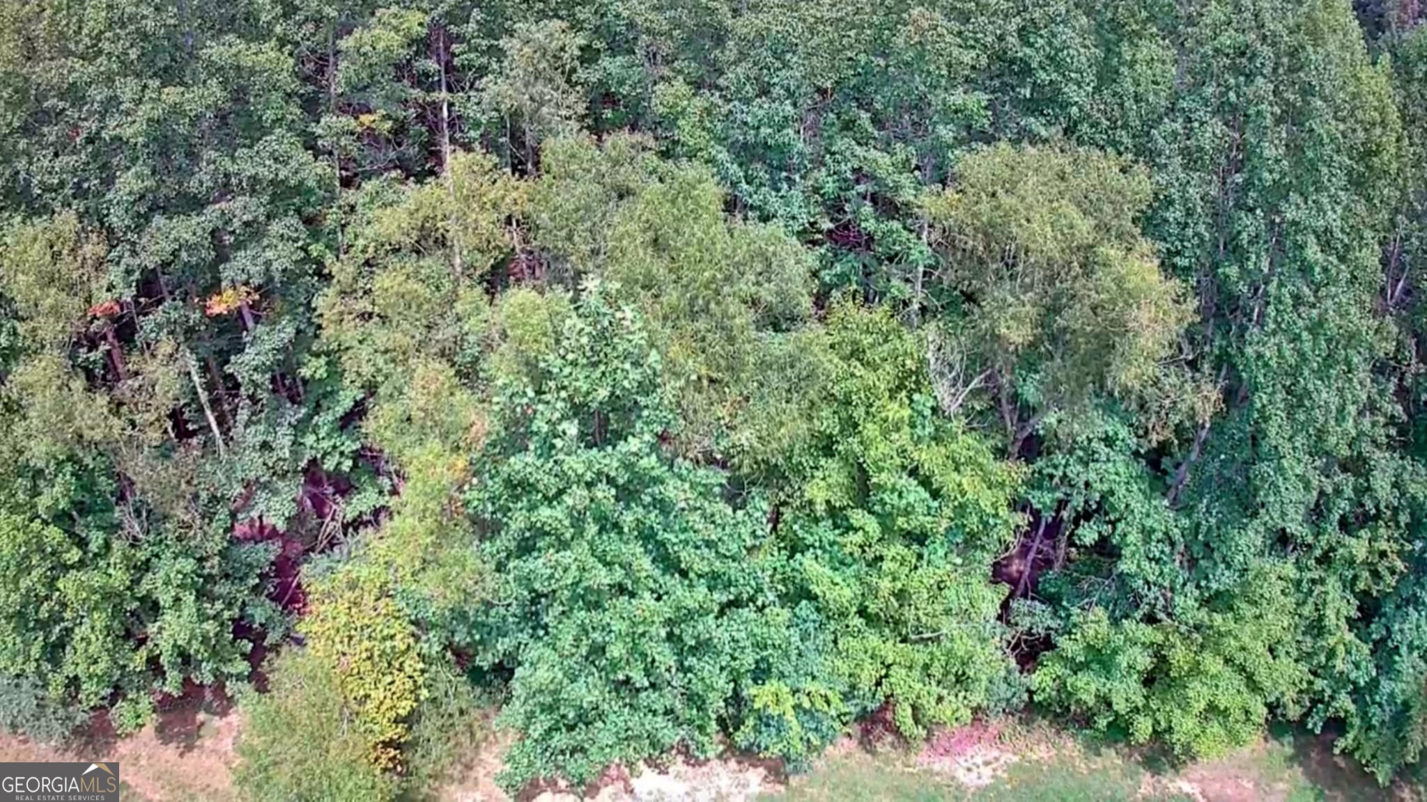 0 Hampton Way Rising Fawn, GA 30738 - Photo 10 of 13