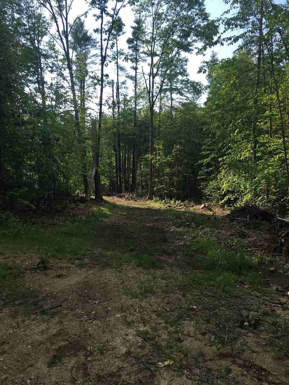 Lot 10 Parsons Hill Road Strafford, NH 03884 - Photo 2 of 4 Gallery Image 2