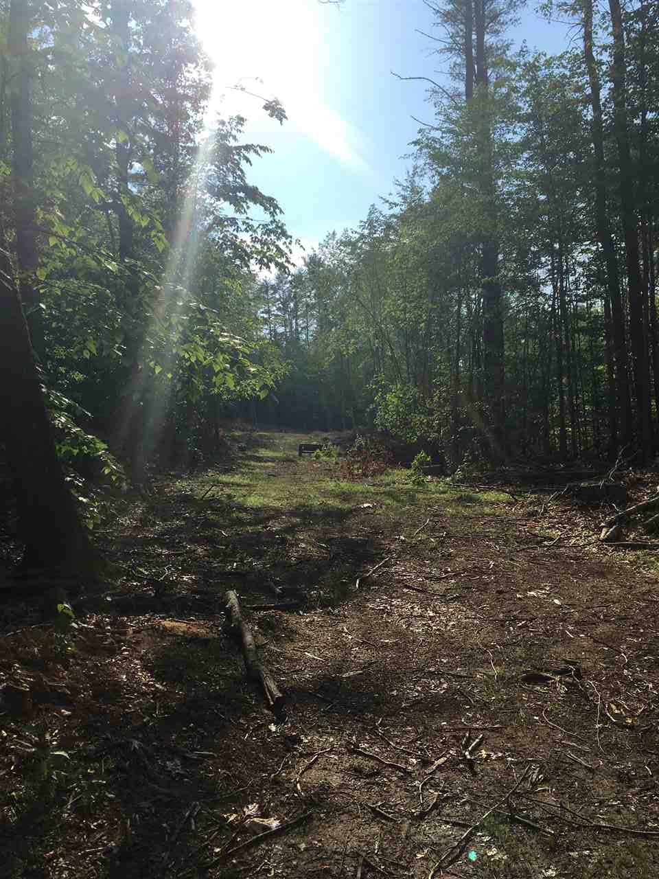 Lot 10 Parsons Hill Road Strafford, NH 03884 - Photo 3 of 4 Gallery Image 3