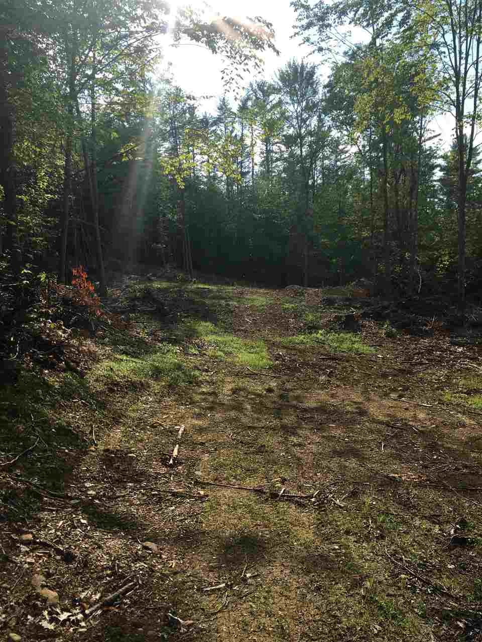 Lot 10 Parsons Hill Road Strafford, NH 03884 - Photo 4 of 4 Gallery Image 4