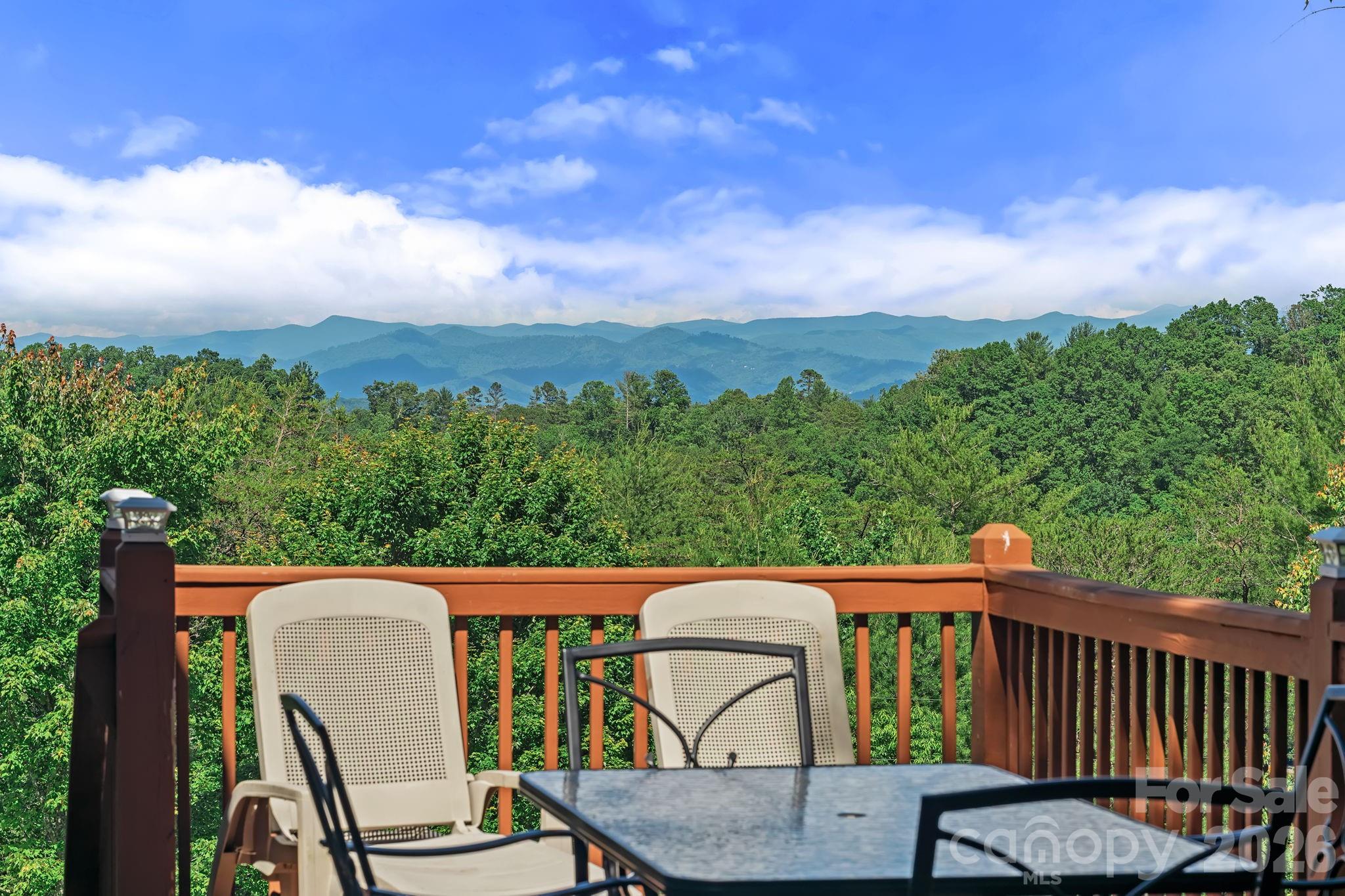 56 Gudger Road Leicester, NC 28748 - Photo 2 of 33