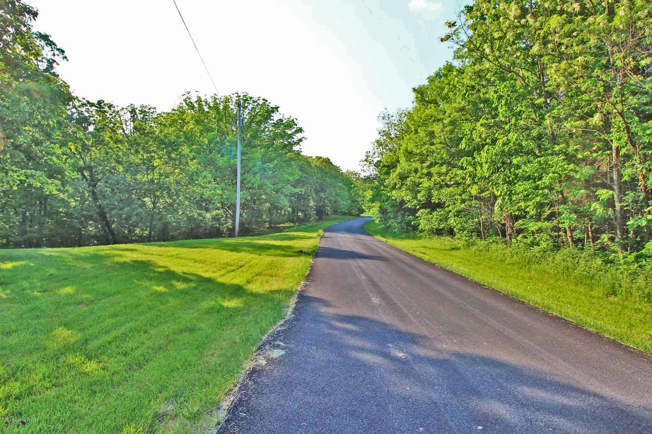 699 Lecompte Bottom Road Pleasureville, KY 40057 - Photo 22 of 23 Street View - Lots of Privacy