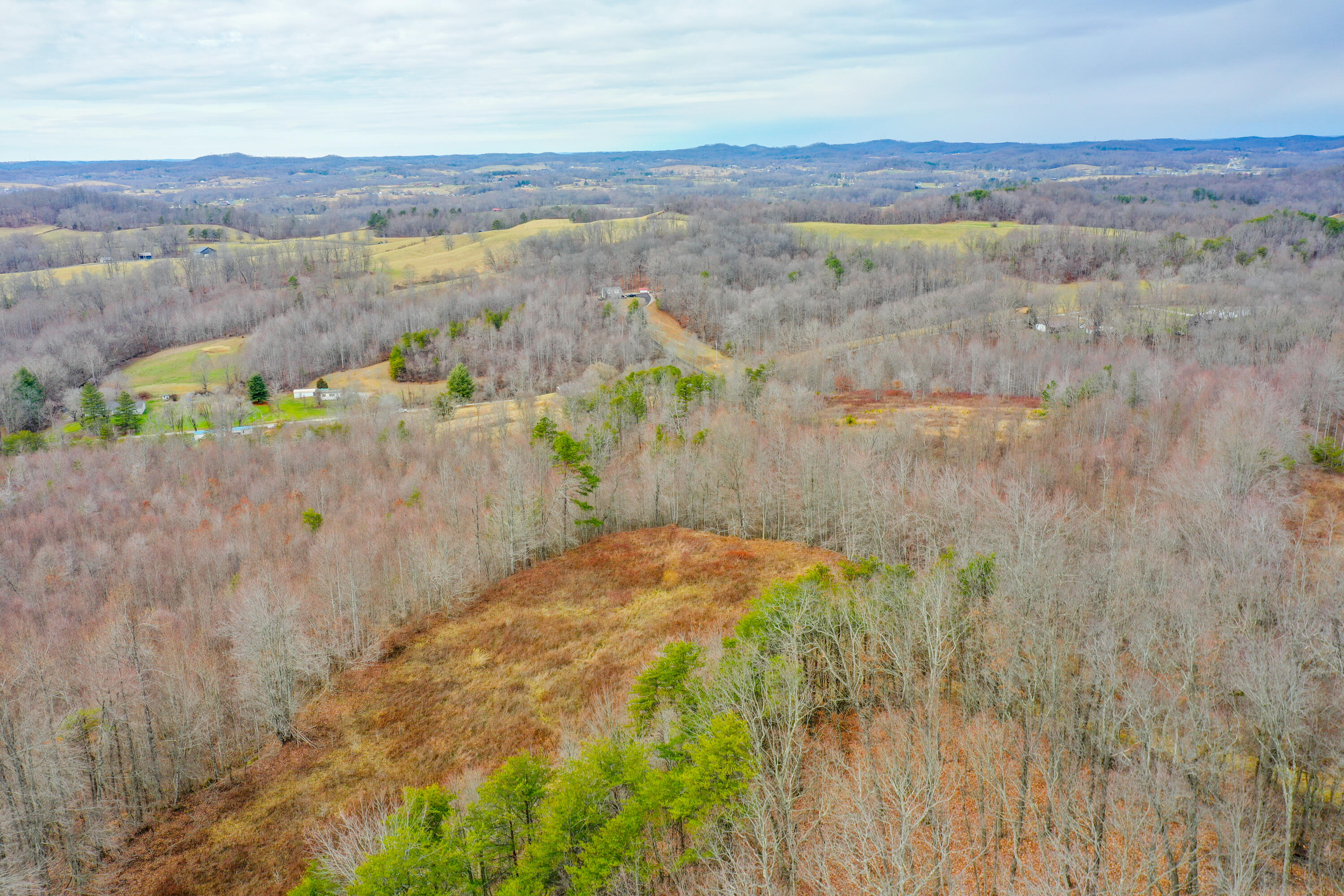 1763 Burnett Road London, KY 40744 - Photo 71 of 92 org_640ee9b70e2e4fda_1706643558000-HDR