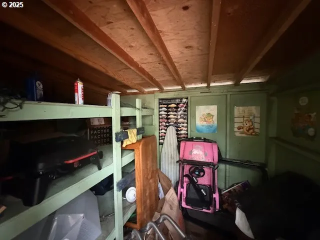 a view of a backyard with plants and large trees