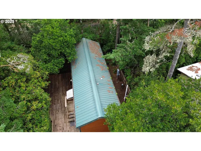 a open area with lots of trees