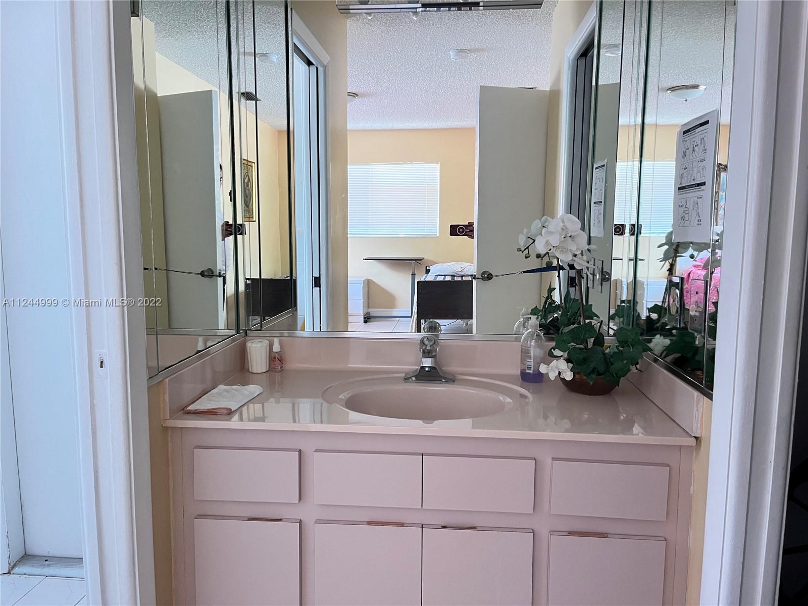 2520 Southwest 102nd Avenue Miami, FL 33165 - Photo 17 of 21 a bathroom with a sink and a mirror