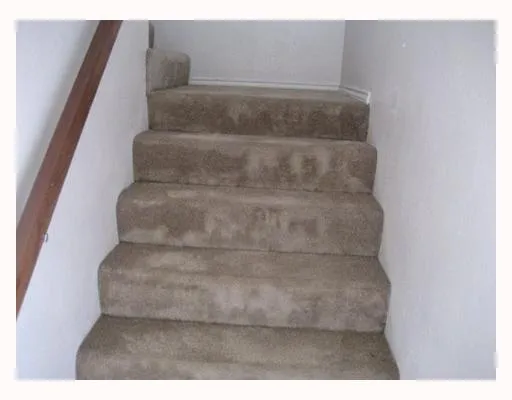 a view of backyard with green space