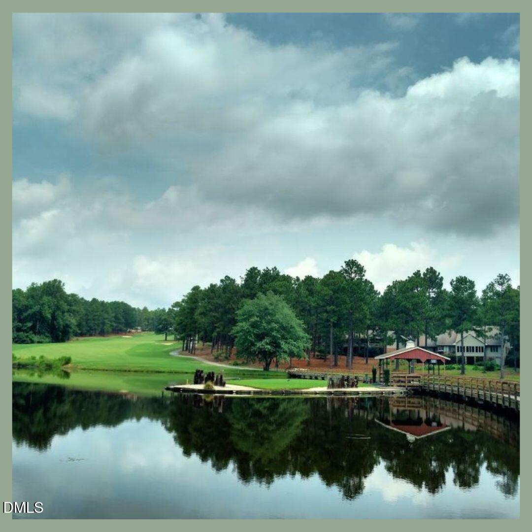 Lot #265 Broken Ridge Trail West End, NC 27376 - Photo 18 of 25 a view of a lake from a yard