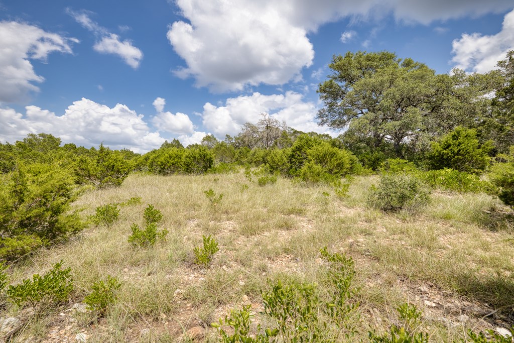 1702 Pinon Loop East Camp Wood, TX 78833 - Photo 13 of 19