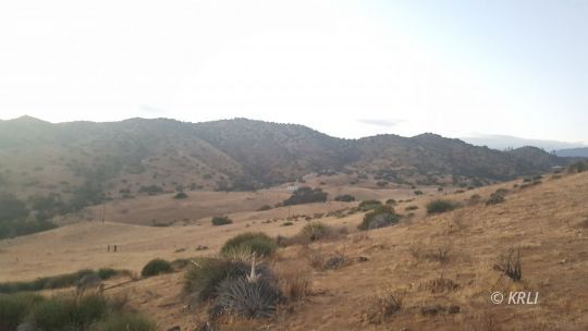 Quail Ridge Drive Caliente, CA 93518 - Photo 9 of 9