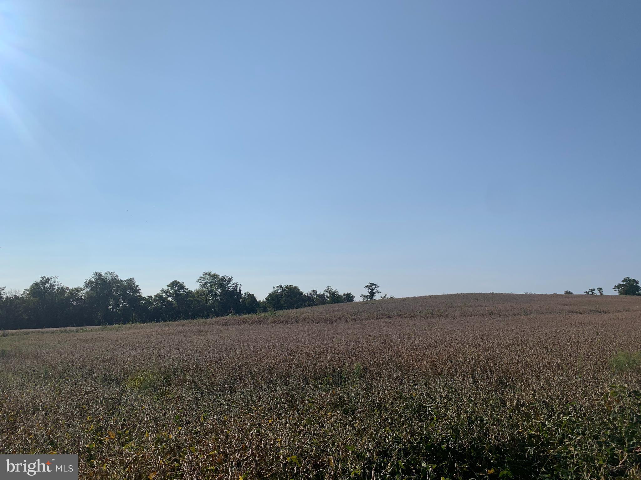 4312 Locust Grove Road Rohrersville, MD 21779 - Photo 1 of 4