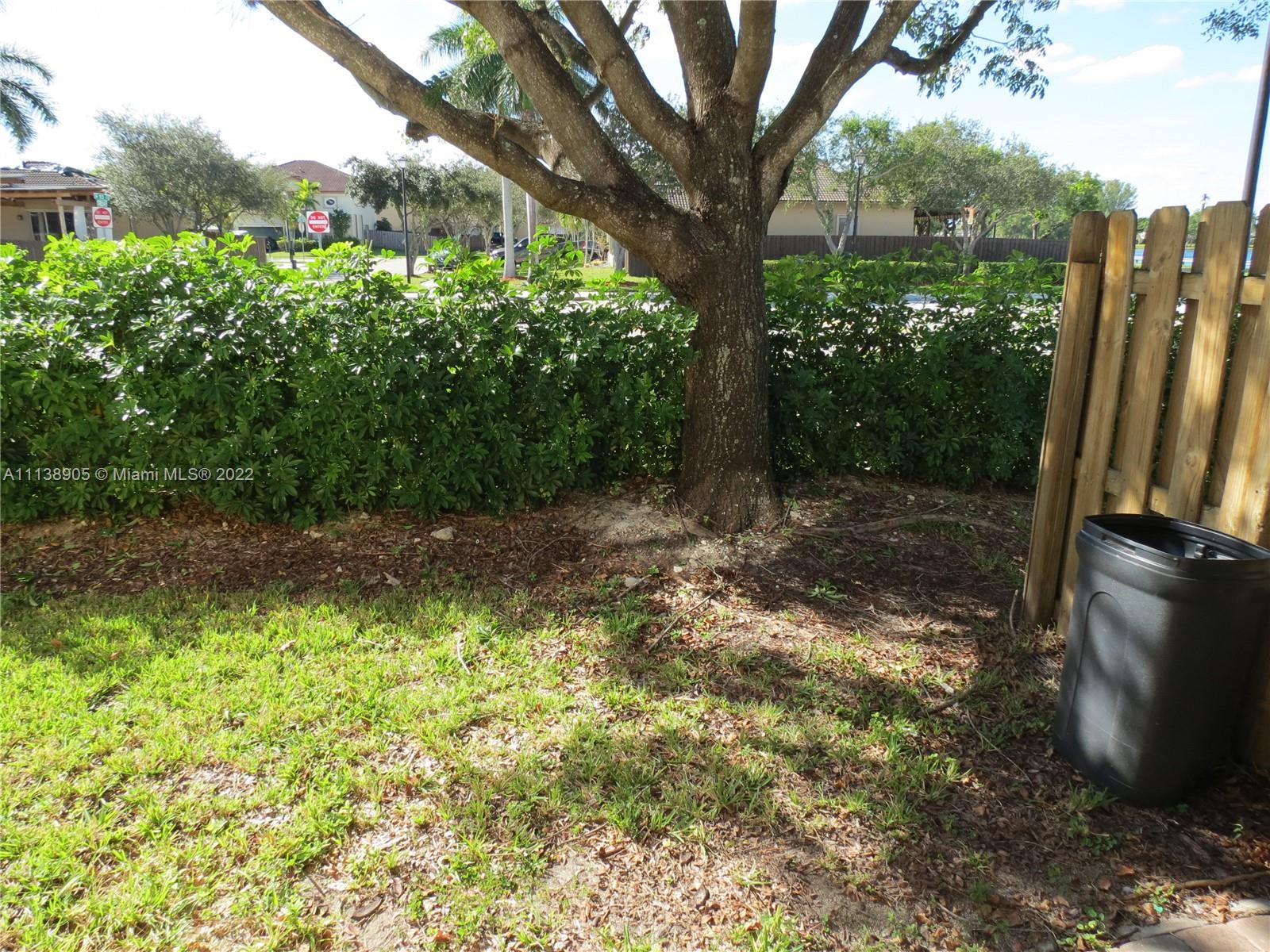 9323 Southwest 227th Street, Unit 75 Cutler Bay, FL 33190 - Photo 35 of 44 a view of a yard with a tree