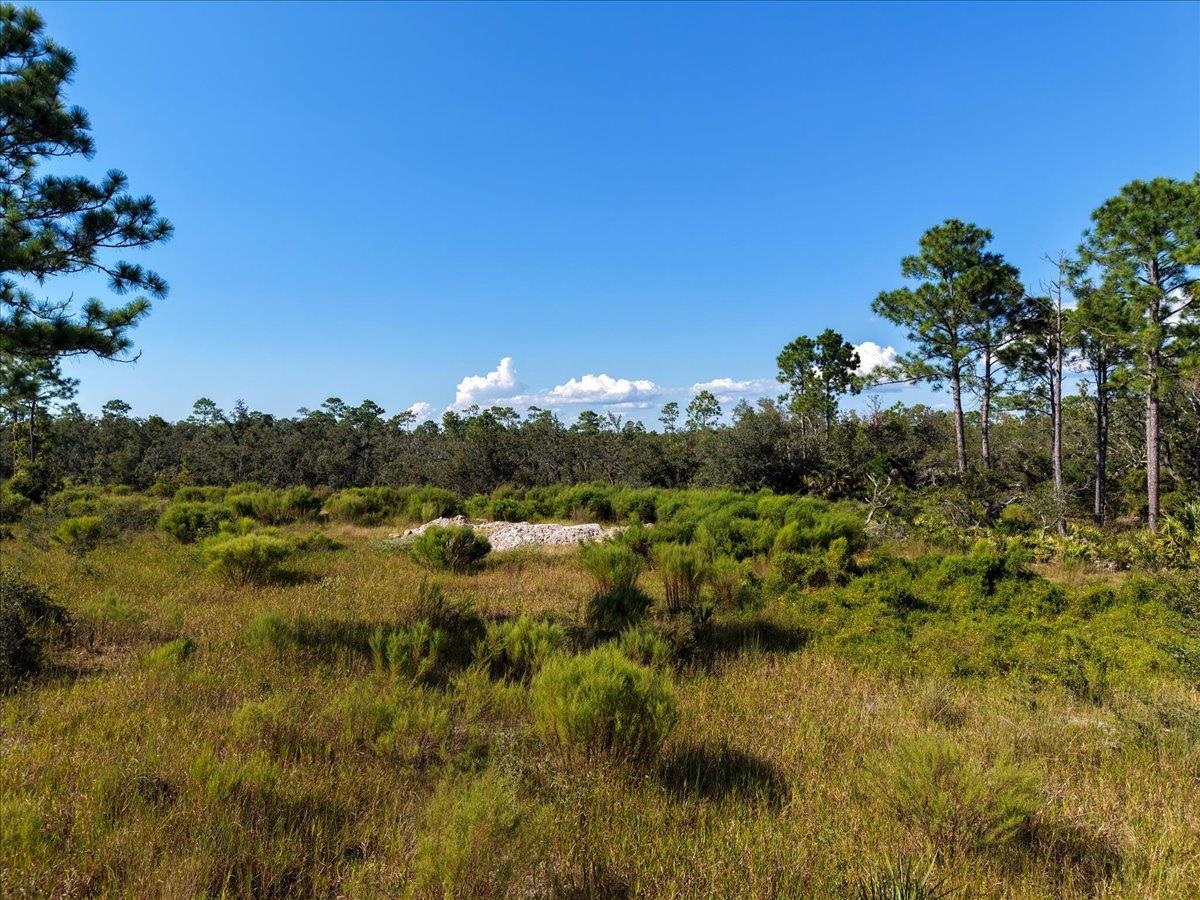Xx Xx Oak Hill Road Perry, FL 32348 - Photo 30 of 31 Gallery Image 30