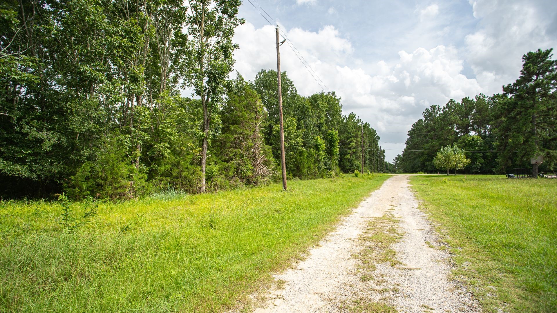 384 Hideaway Drive Trinity, TX 75862 - Photo 1 of 6 a view of a yard with plants and large trees