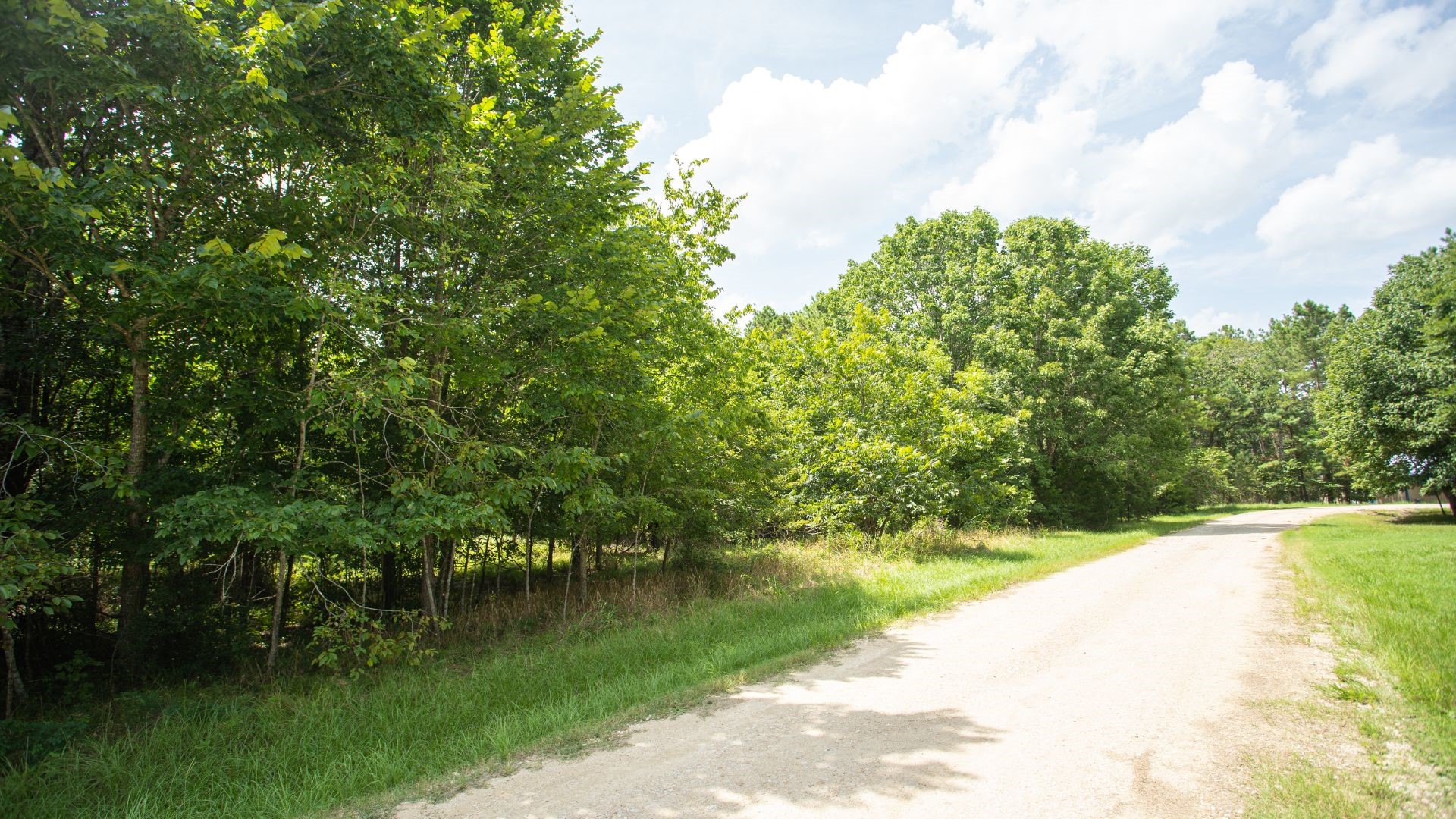 384 Hideaway Drive Trinity, TX 75862 - Photo 2 of 6 a view of a lake view
