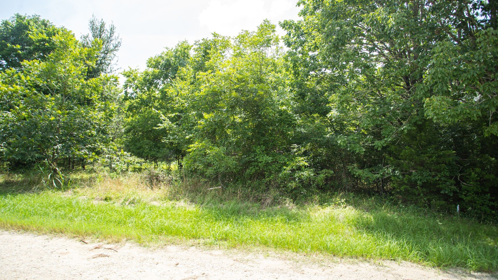 384 Hideaway Drive Trinity, TX 75862 - Photo 3 of 6 a view of a yard with a tree