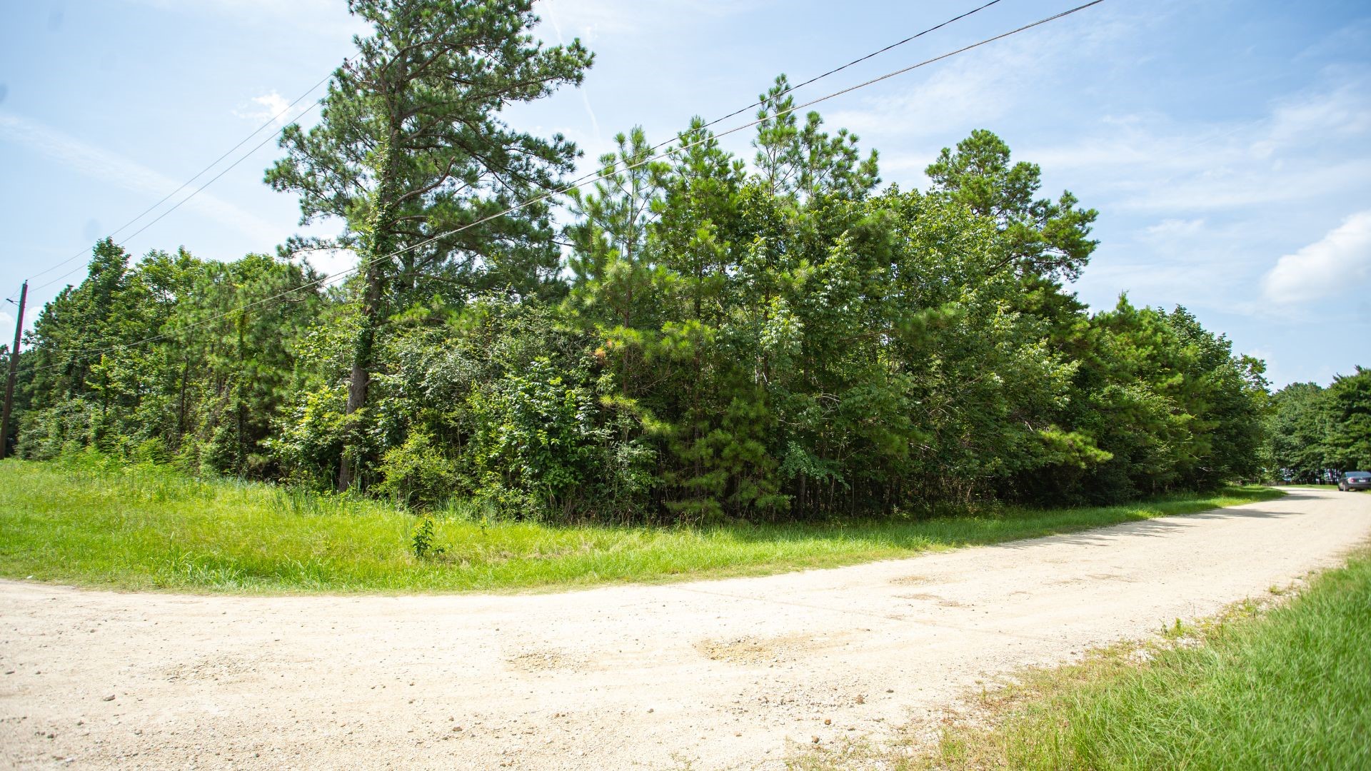 384 Hideaway Drive Trinity, TX 75862 - Photo 6 of 6 a view of a yard with plants and a large tree