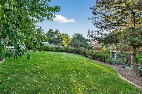a view of a lush green space
