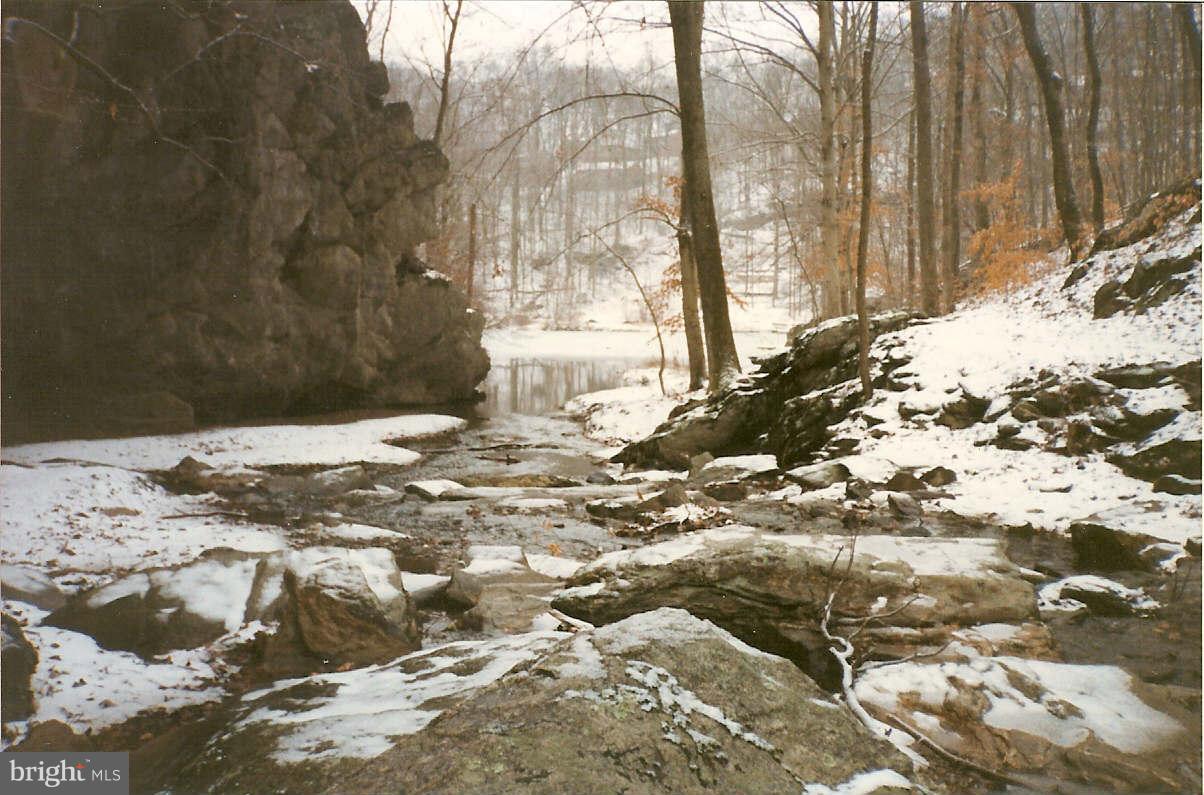 6940 Fox Chase Road New Market, MD 21774 - Photo 15 of 18 Indian Cave area