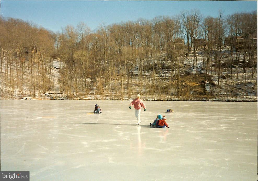 6940 Fox Chase Road New Market, MD 21774 - Photo 17 of 18 Winter at the Lake