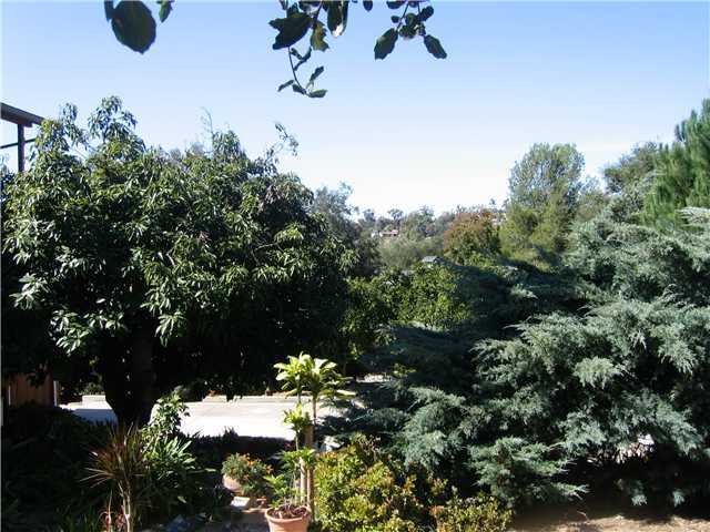1113 Big Oak Ranch Road Fallbrook, CA 92028 - Photo 13 of 16 Magnificient Views