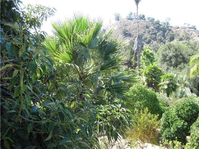 1113 Big Oak Ranch Road Fallbrook, CA 92028 - Photo 14 of 16 View