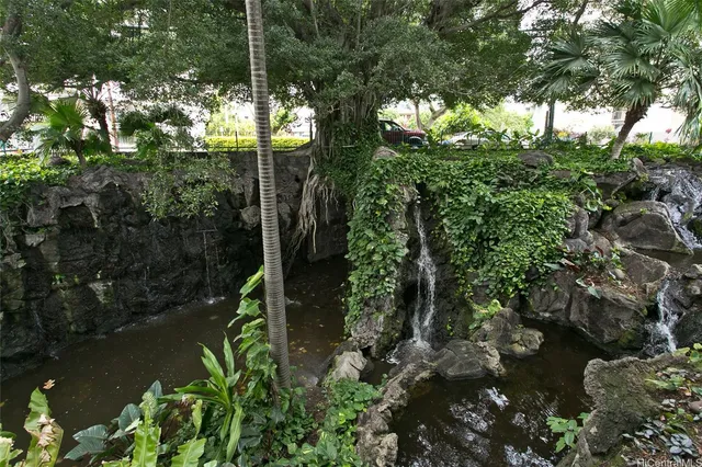 a view of a garden with plants
