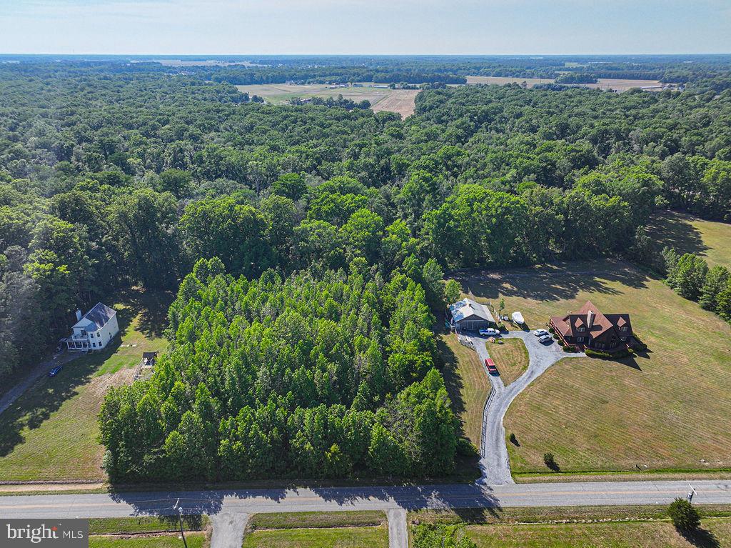 Lot 7 Bell Road Whaleyville, MD 21872 - Photo 5 of 20