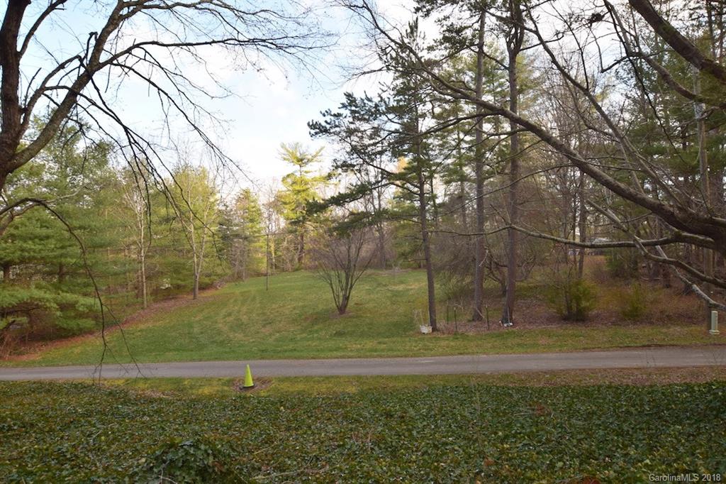9999 Bee Ridge Road Asheville, NC 28803 - Photo 2 of 22 Gallery Image 2