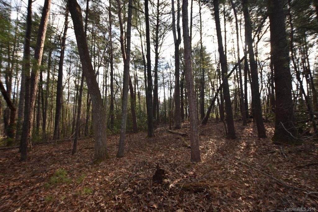 9999 Bee Ridge Road Asheville, NC 28803 - Photo 11 of 22 Gallery Image 11