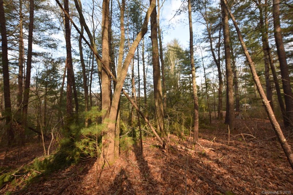 9999 Bee Ridge Road Asheville, NC 28803 - Photo 12 of 22 Gallery Image 12