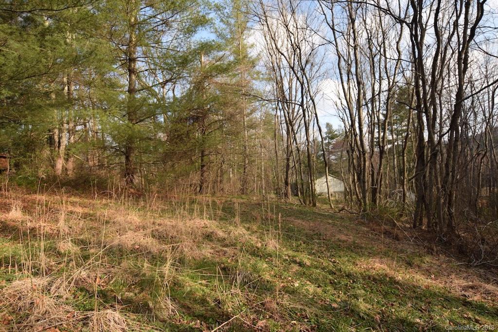 9999 Bee Ridge Road Asheville, NC 28803 - Photo 13 of 22 Gallery Image 13